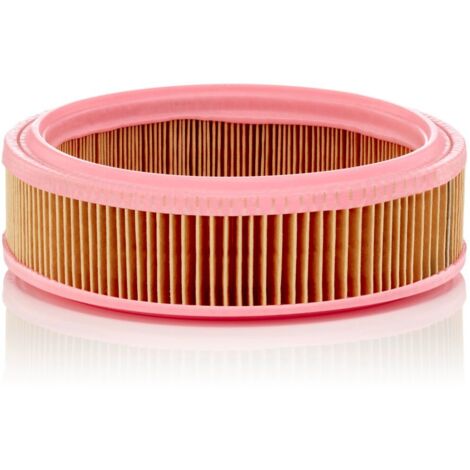 Filtre à air Mann Filter C2021