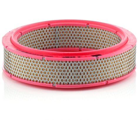 Filtre à air Mann Filter C2436/1
