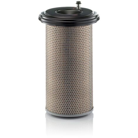 Filtre à air Mann Filter C24650/3