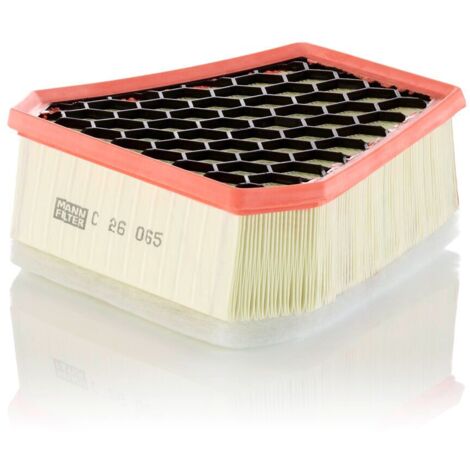 Filtre à air Mann Filter C26065