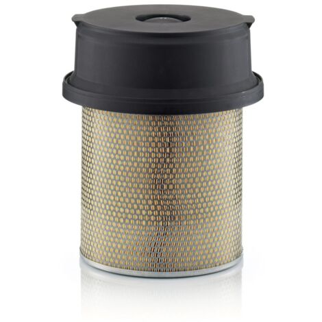 Filtre à air Mann Filter C291219/1