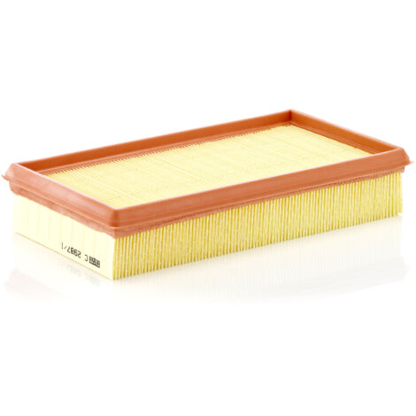 Filtre à air Mann Filter C2987/1