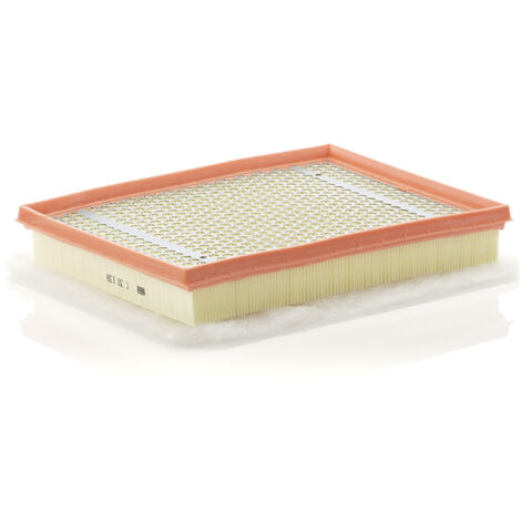 MANN + HUMMEL Filtre à air MANN-FILTER C30138