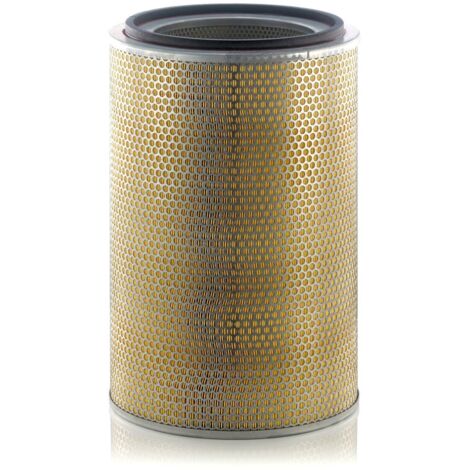 Filtre à air MANN-FILTER C31013