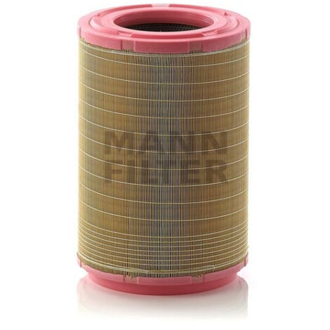Filtre à air MANN-FILTER C311254