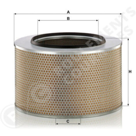 Filtre à air Mann Filter C42/1