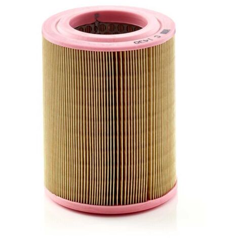 Filtre à air Mann Filter pour Honda CRV