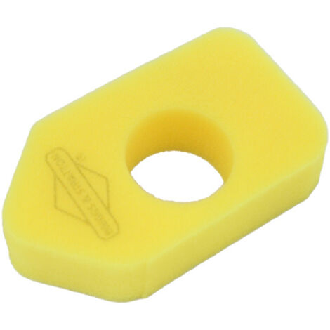 Filtre à air moteur Briggs Stratton
