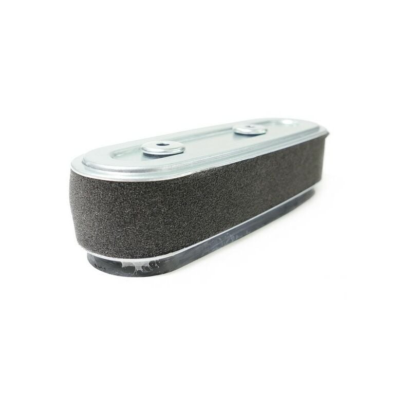 Honda - Filtre à air moteur GXV160 - 17210-Z1V-003