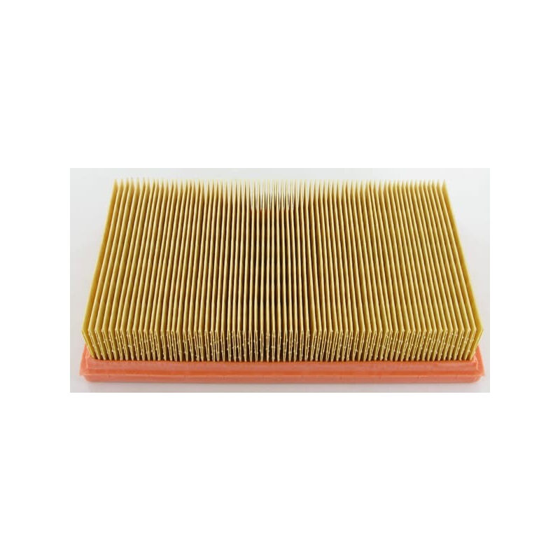 Filtre Lombardini 2175164