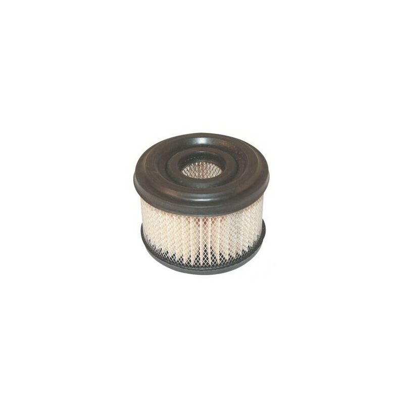 Briggs&stratton - 390492 - Filtre à Air pour moteur briggs et stratton