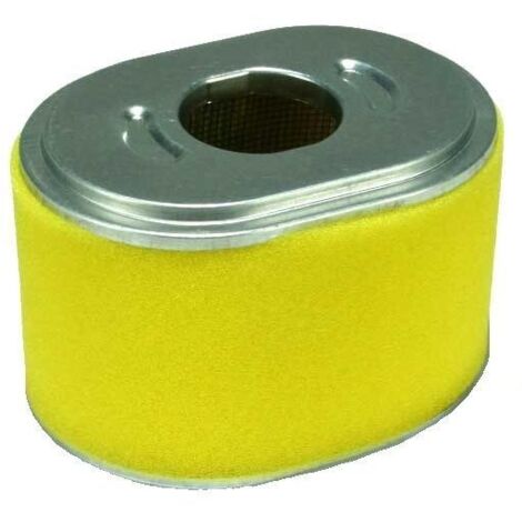 Filtre à air moteur motoculteur pompe LT270 LAUNTOP 24008107 310130