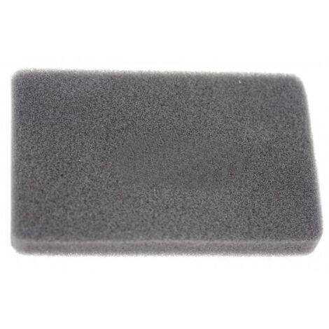 Filtre à air moteur tondeuse Greatland