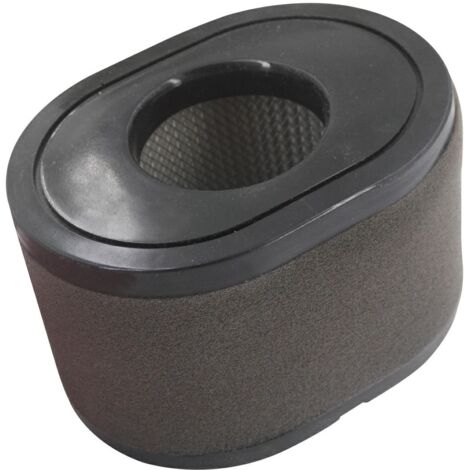 Filtre à air moteur tracteur de pelouse AL-KO PRO700V2 taille 130x95x80mm 418110