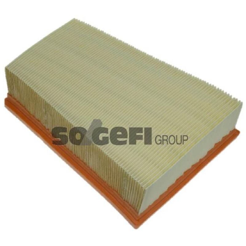 Purflux - Filtre a air N101 A1196