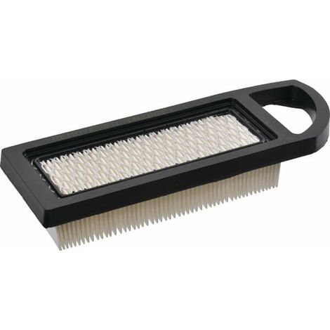 Filtre à air pour BRIGGS ET STRATTON 797008