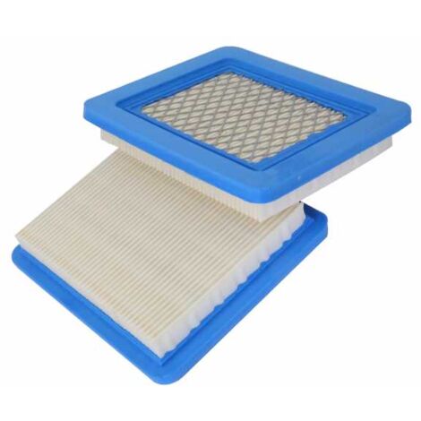 Filtre à air pour moteur Briggs & Stratton 31749 par 2