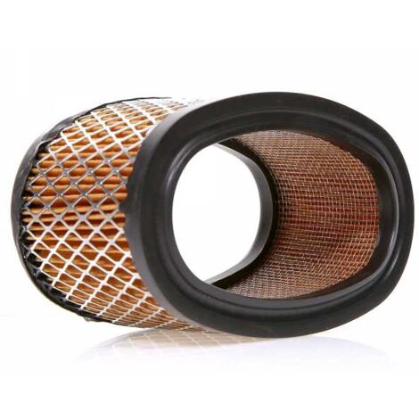 Filtre à air pour moteur Briggs & Stratton 393725