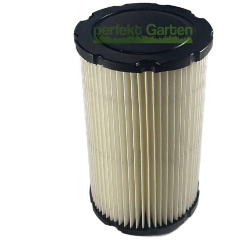 filtre à air pour moteur Briggs & Stratton B&S 13,5-19,5ch 31P600 31P700 / 594201