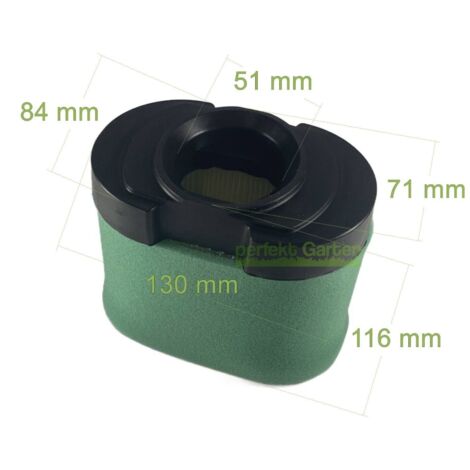 filtre à air pour moteur Briggs & Stratton B&S 40, 44 et 49 modèles 792303, 4233
