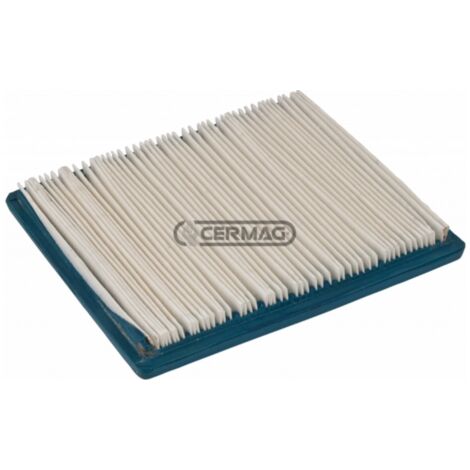 Filtre à air pour moteur BRIGGS & STRATTON VANGUARD 9 Hp - 12.5 Hp