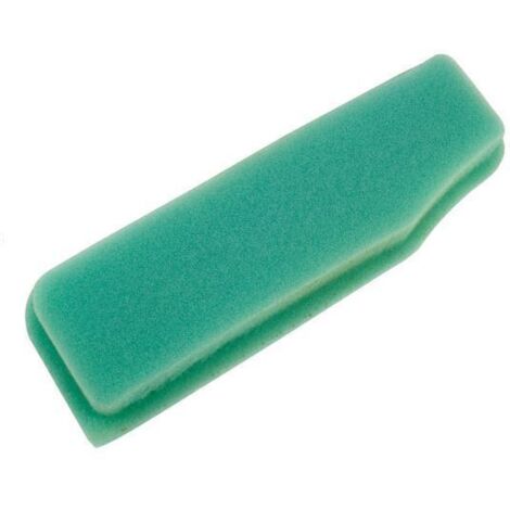 Filtre à air pour moteur de tondeuse compatible BRIGGS & STRATTON 19 - 25 272405 272922