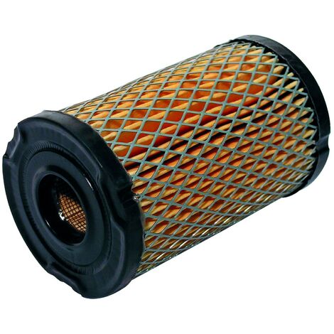 Filtre à air pour moteur Tecumseh 34700, 34700B