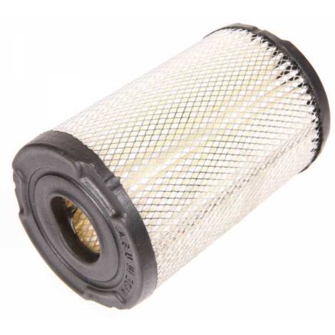 Filtre à air pour moteur Tecumseh 34700B