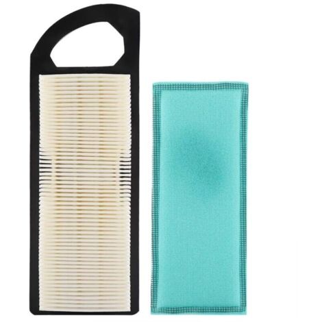 Filtre à air pour moteur thermique Briggs et Stratton 697153 698083 795115 – Dimensions 22.5 x 7.8 x 3.8 cm – Pré-nettoyeur inclus - M149171
