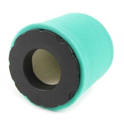 Filtre à air pour moteurs Briggs & Stratton 44M977 44P977 44Q977 49L977 49M977