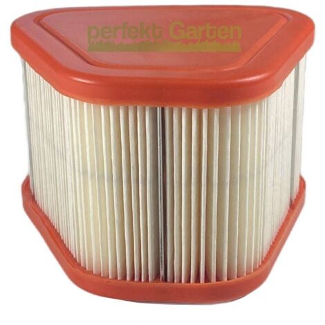 filtre à air pour moteurs Briggs & Stratton B&S 875iS 123P07 123P32 125P0B / 595853