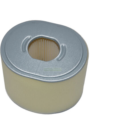 filtre à air pour moteurs essence Jiangdong JF390 (JF 390) 13 CV