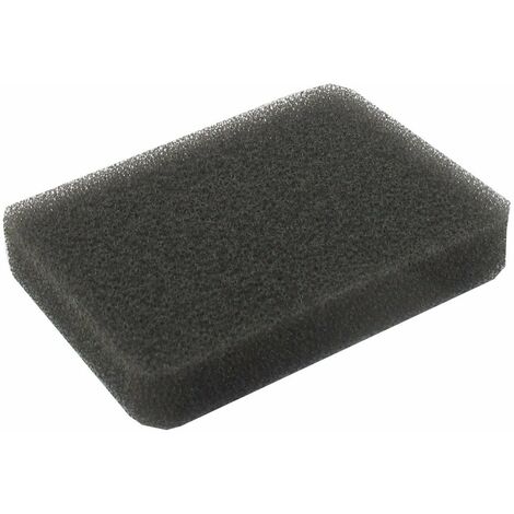 Filtre à air RYOBI 2383521