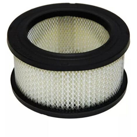 Filtre à air Tecumseh 31925 KOHLER 231847S JOHN DEERE AM-30800