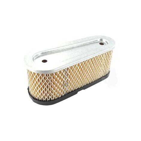 Filtre A Air Tecumseh (36356)