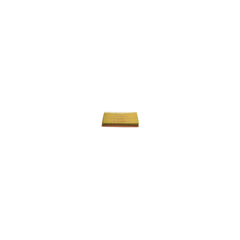 Filtre a air tondeuse debrousailleuse Lombardini focs serie ldw 1204/T