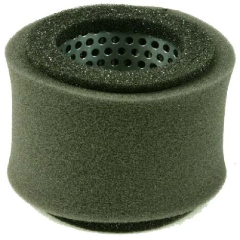 Filtre à air tondeuse EC13V ROBIN 106-32704-07 310188