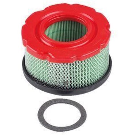 Filtre à air tracteur de pelouse tondeuse BRIGGS&STRATTON 797819