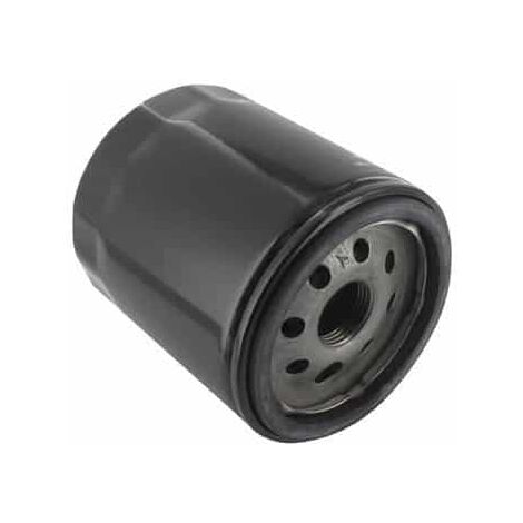 Filtre à carburant KUBOTA 70000-43081 - 7000043081