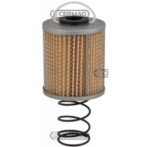 Filtre à carburant moteur machine agricole LANDINI C25 - CS25 - R25 - RV25 - DT25