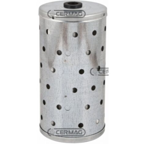 Filtre à carburant moteur machine agricole RUGGERINI MOTORS MC 70 - MC 71(BRIO SERIES)