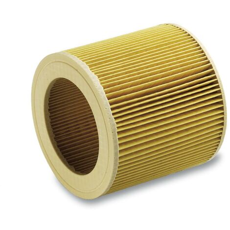 Filtre A  cartouche pour aspirateur Karcher MV2 MV3