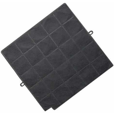 Filtre à charbon  290X270 mm