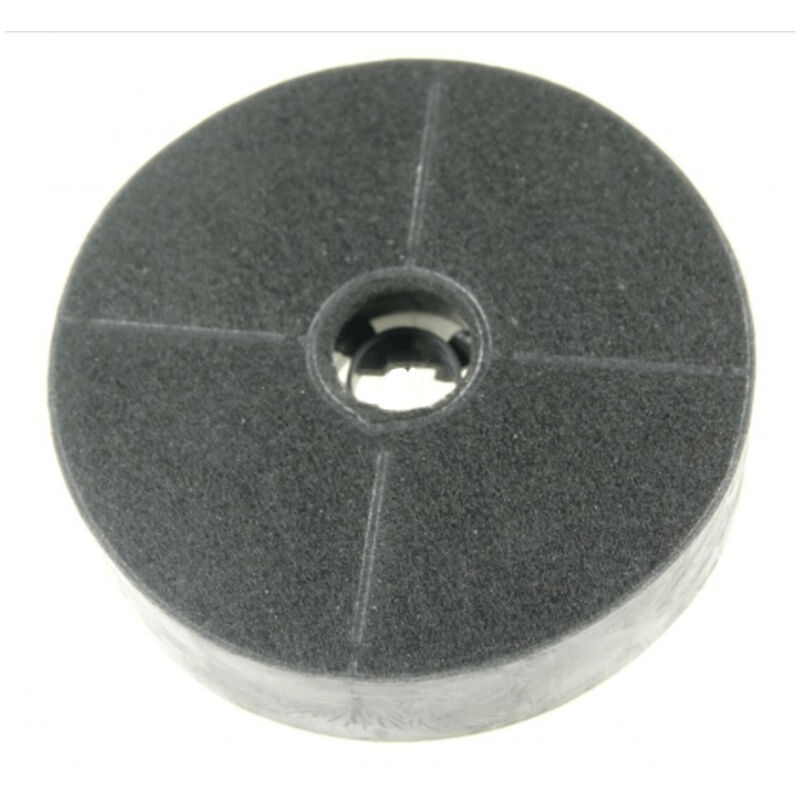 Filtre à charbon 133X30 mm