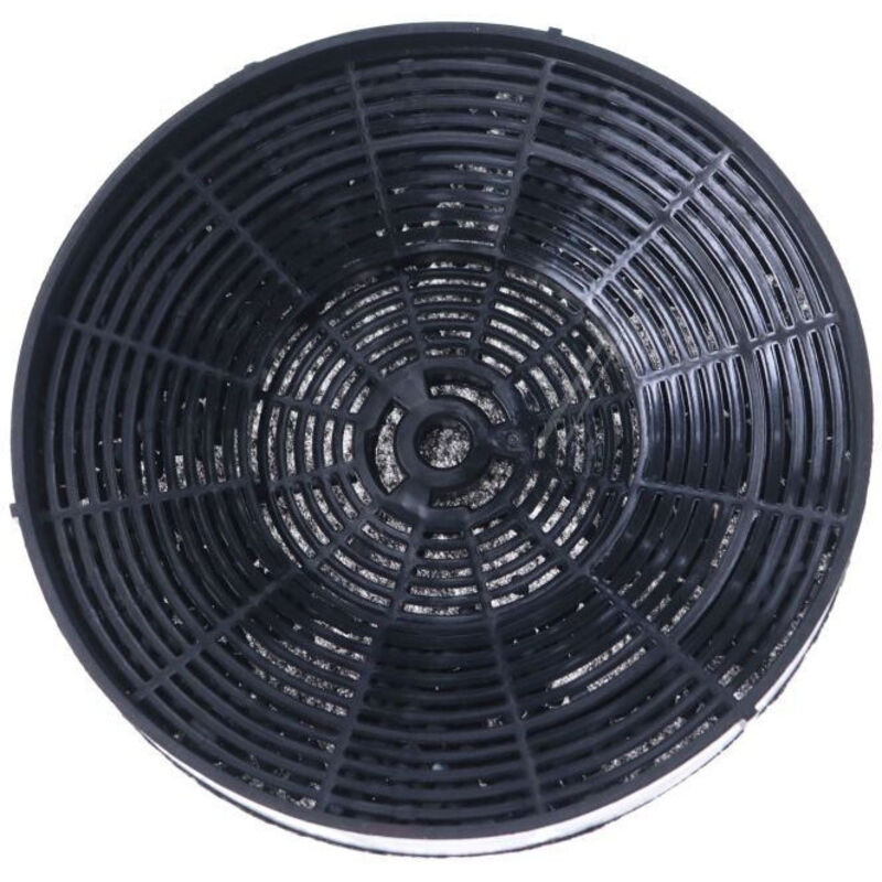 Filtre à charbon 175X25 mm