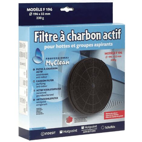 Filtre A Charbon F196 C00383473 Pour HOTTE