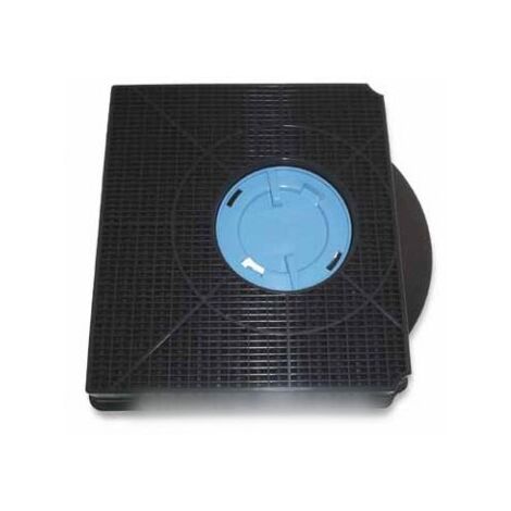 Filtre à charbon type 303 210 x 215 mm pour Hotte W-PRO C00090815