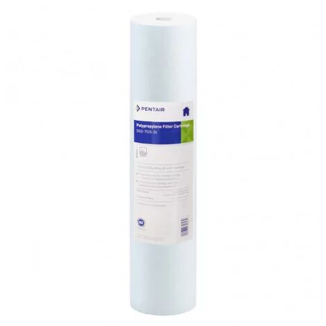 Filtre à Eau Pentair 7525 20 Pouces Big Blue