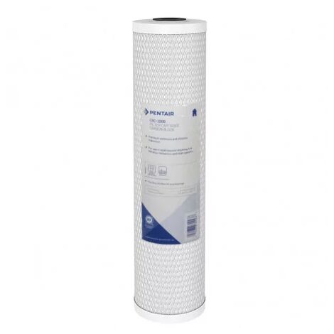Filtre à Eau Pentair CBC 20 BB