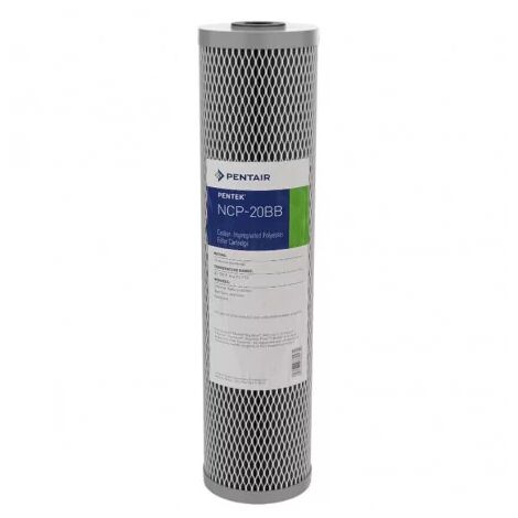 Filtre à Eau Pentair NCP-20BB